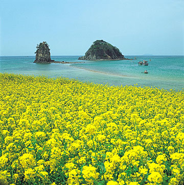   Jeju Island – Island of the Gods The Romantic and Paradise Island